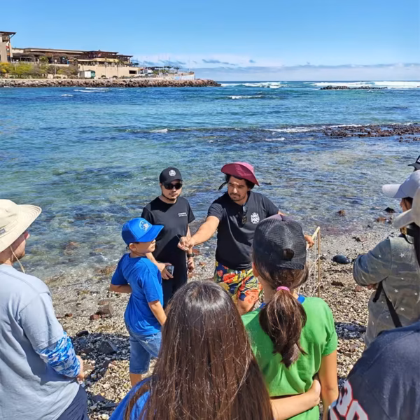 Conservación Arrecife Tawn