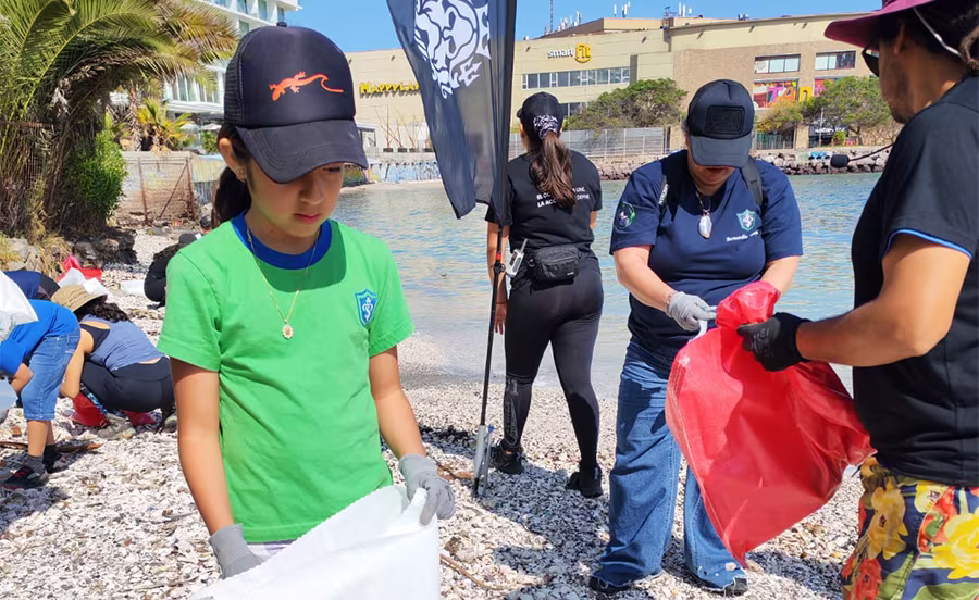 Conservación Arrecife Tawn