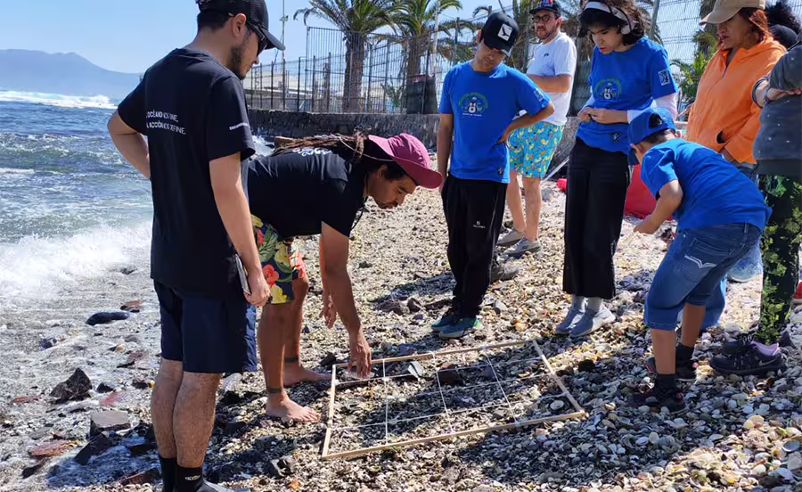 Conservación Arrecife Tawn