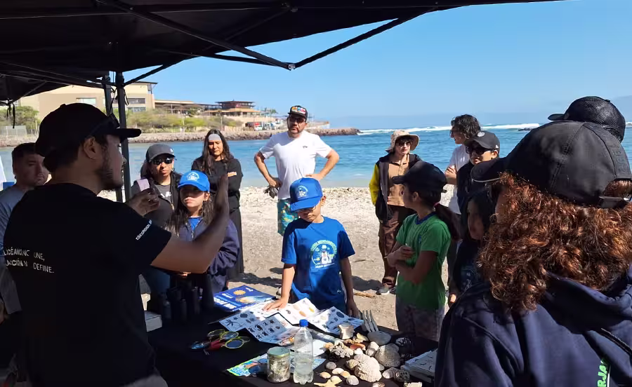 Conservación Arrecife Tawn