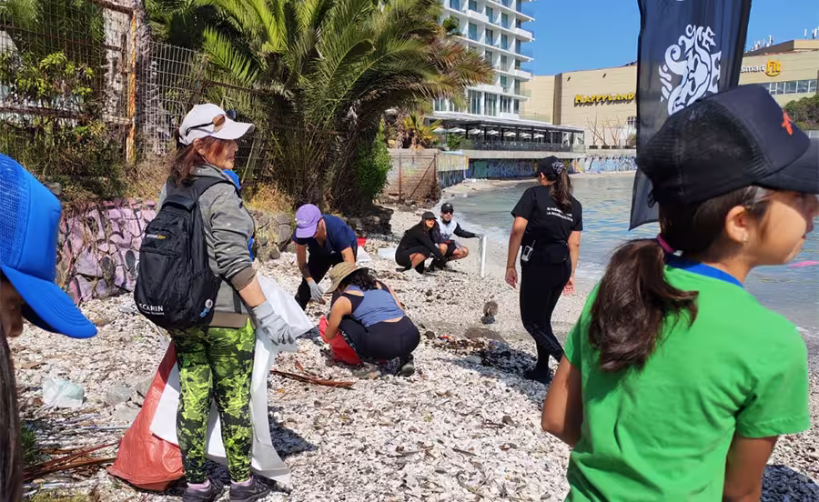 Conservación Arrecife Tawn