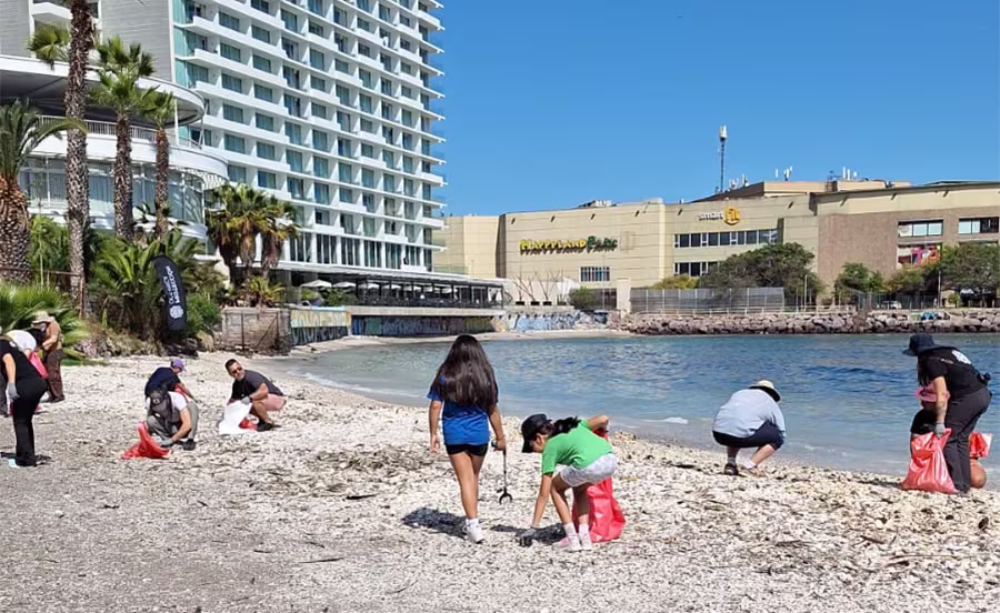 Conservación Arrecife Tawn
