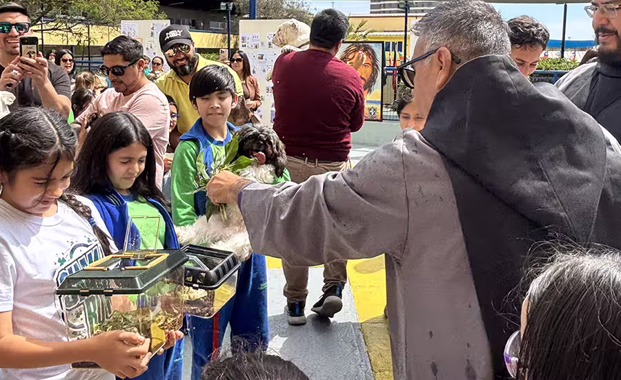 Día de San Francisco de Asís.