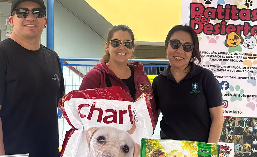 Día de San Francisco de Asís.