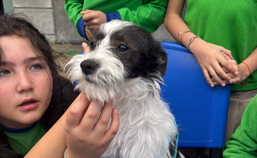 Día de la Solidaridad en el Colegio San Patricio