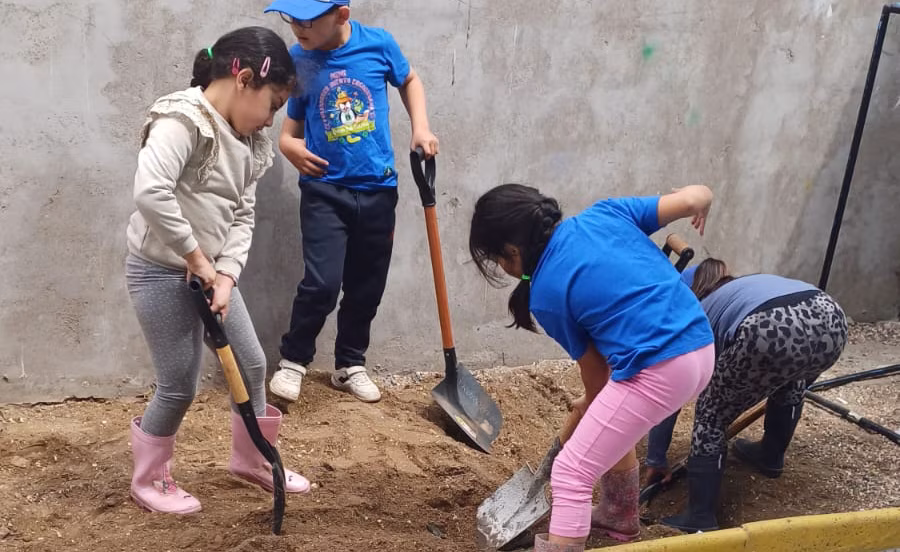 Nuevo mini huerto de plantas medicinales y suculentas.