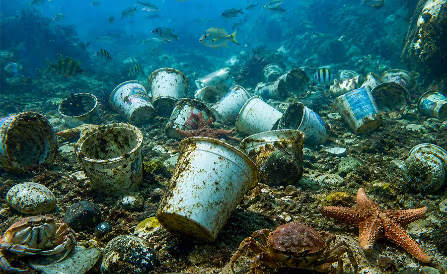 Contaminación fondo marino.