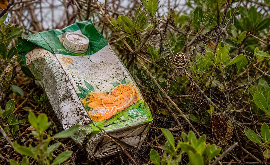 Basura en humedal la Chimba.