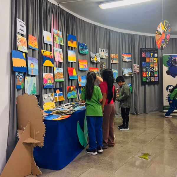 Semana de las Artes en Colegio San Patricio.