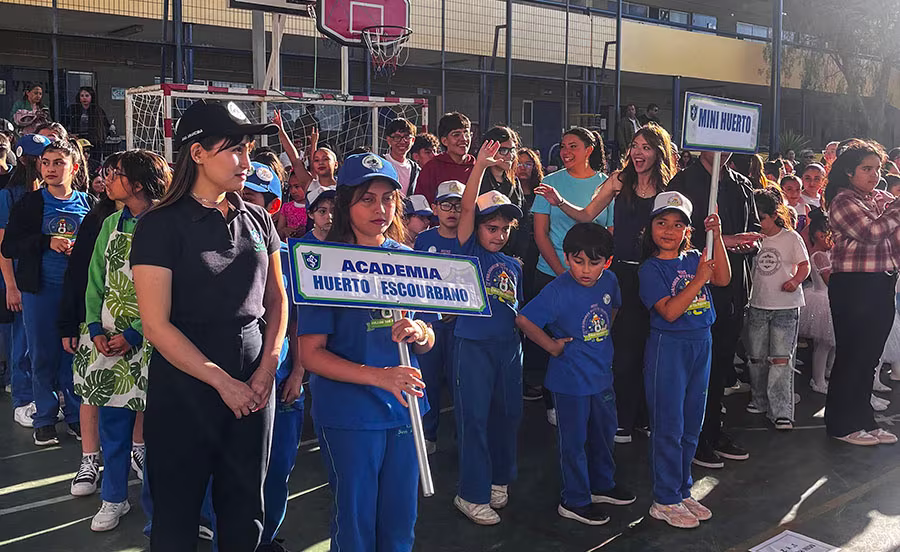 Shamrock 2025, Academias Colegio San Patricio.