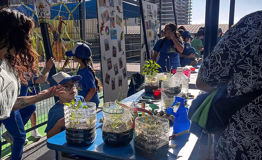 Shamrock 2025, Academias Colegio San Patricio.